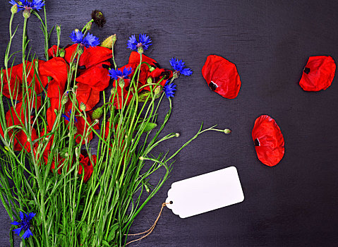 花束,红罂粟,蓝色,矢车菊