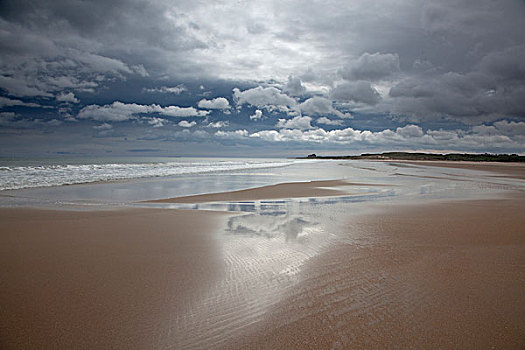 云,反射,水中,海滩