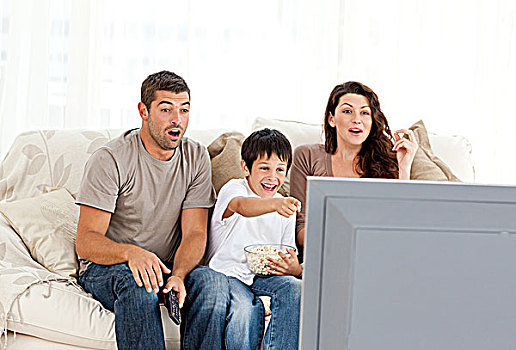 幸福之家,看,电影,电视,一起,沙发,在家