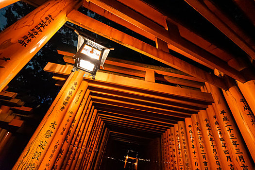 日本京都伏见稻荷大社千本鸟居夜景