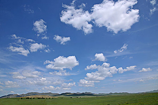 内蒙古科尔沁右翼前旗草原