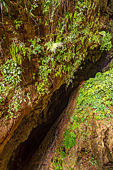 武隆龙水峡地缝峡谷岩壁