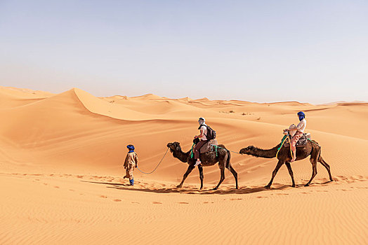 驼队,两个,单峰骆驼,沙丘,沙漠,却比沙丘,梅如卡,撒哈拉沙漠,摩洛哥,非洲