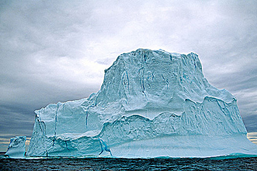 冰山,生态,自然保护区,纽芬兰,加拿大