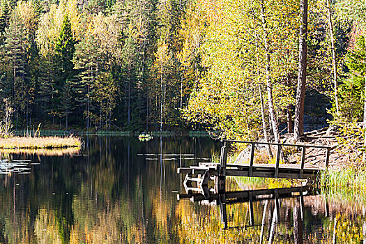 桥,湖,彩色,秋日树林
