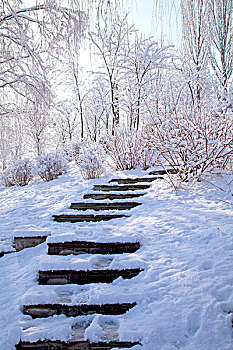 白雪覆盖着的山间石板小路