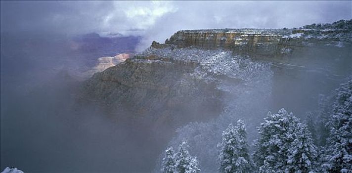 风景,雾,大峡谷国家公园,亚利桑那,美国