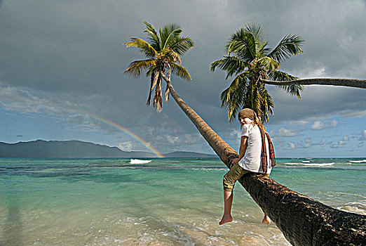 女孩,坐,棕榈树,旁侧,海洋