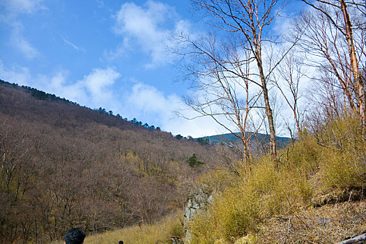 秦岭高山草甸