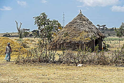 茅草屋顶,圆,小屋,区域,埃塞俄比亚,非洲