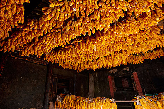 诺邓古村落的玉米晒房