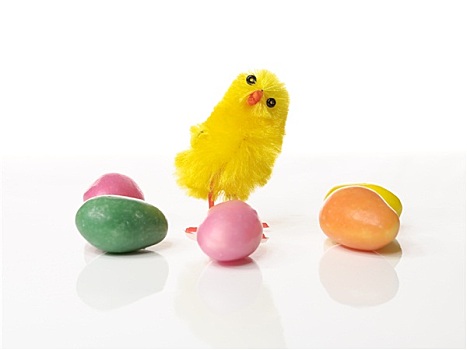 复活节,鸡,彩色,糖果