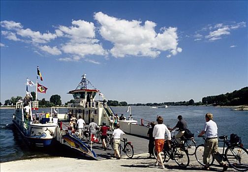自行车,旅游,下莱茵,河,推,莱茵河,渡轮,北莱茵威斯特伐利亚,德国,欧洲