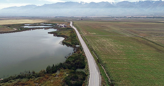 新疆巴里坤,航拍秋日高家湖湿地,绿意与金黄并染大地