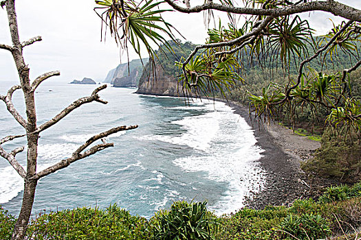 美国,夏威夷,夏威夷大岛,山谷,柯哈拉,树林,景色,俯瞰,远足,黑沙,海滩