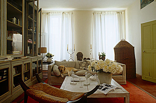 客厅,整修,时期,建筑,大,书架,狗,躺着,舒适,沙发