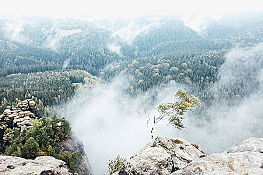 风景,山,雾状,天气,撒克逊瑞士,国家公园,萨克森,德国