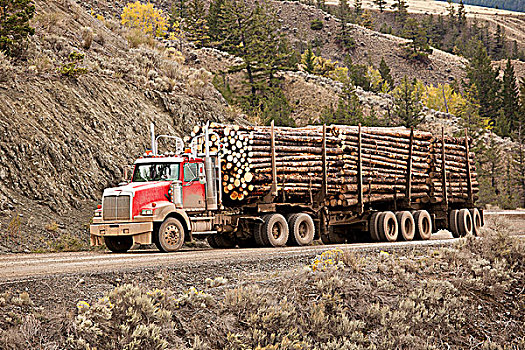 伐木,卡车,峡谷,靠近,不列颠哥伦比亚省,加拿大