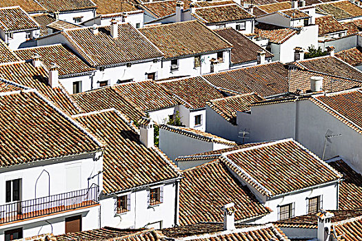远眺,屋顶,白色,城镇,格拉萨莱玛,卡迪兹,安达卢西亚,西班牙,欧洲