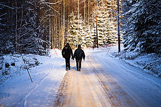 情侣,行人,走,道路,雪,树林,瑞典,欧洲