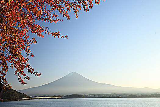 日本富士山红叶