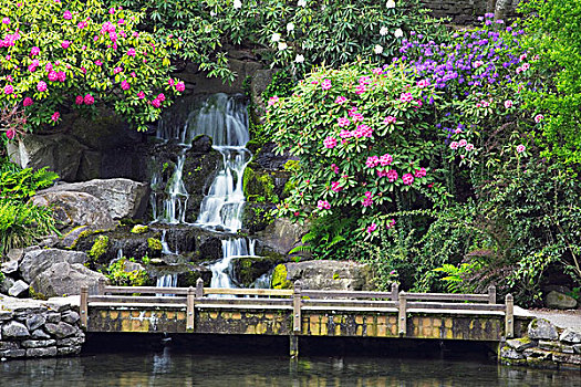 喷泉,景色,花园