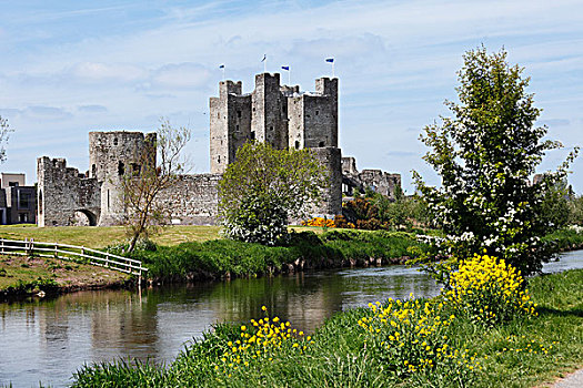城堡,河,博伊奈,米斯郡,伦斯特,爱尔兰,欧洲