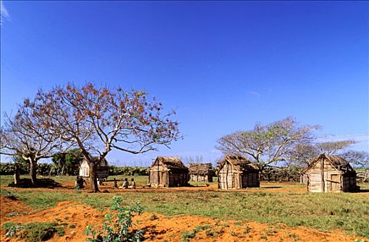 马达加斯加,乡村,小,木屋,人,坐,红色,陆地