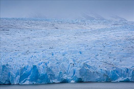 格里冰河,托雷德裴恩国家公园,巴塔哥尼亚,智利