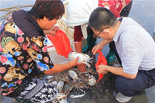 山东省日照市,渔码头海鲜大量上岸,吸引市民驱车前来采购尝鲜