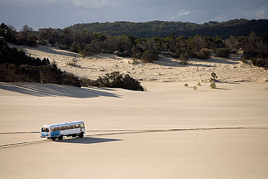 巴士,穿过,沙漠,岛屿,昆士兰,澳大利亚