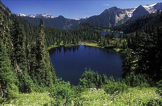 俯拍,湖,围绕,树,荒野,贝克山-斯诺夸尔米国家森林公园,华盛顿,美国