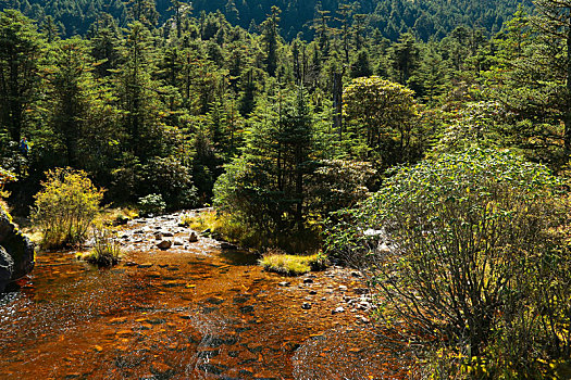 螺髻山风光