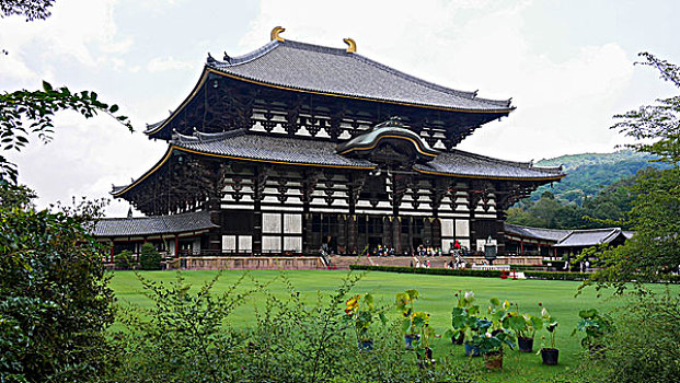 奈良,东大寺,日本