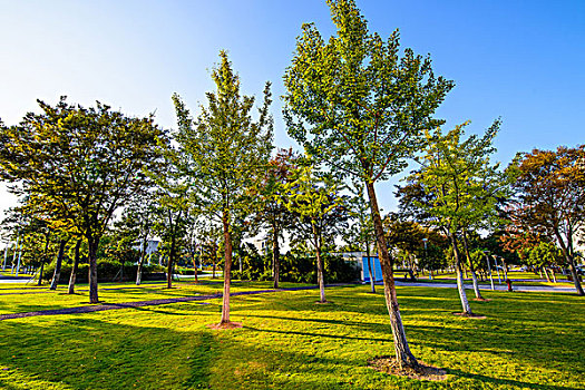 寧波公園風(fēng)光