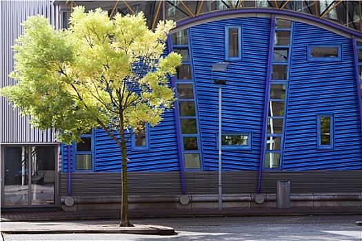 树,正面,现代,蓝色,褶皱,金属,建筑