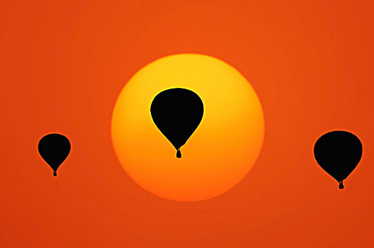 热气球,日落,明斯特地区,区域,北莱茵-威斯特伐利亚,德国,欧洲,数码构图