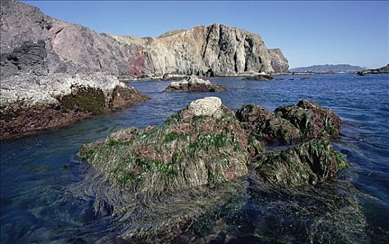 错综复杂,沉积,层次,科特兹海,北下加利福尼亚州,墨西哥