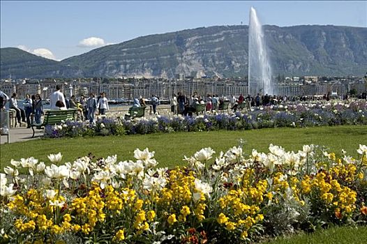 春天,日内瓦,风景,喷气式飞机,喷泉,瑞士