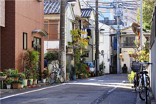 街道,风景,京都