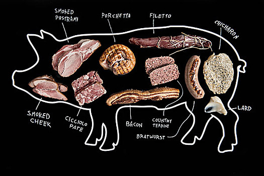 插画,猪,多样,肉,商品