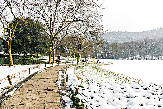 杭州太子湾公园雪景