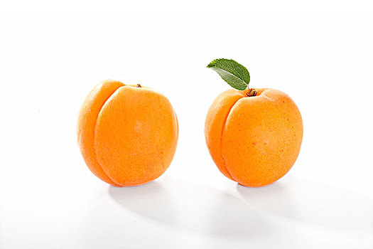 两个,杏子,白色背景