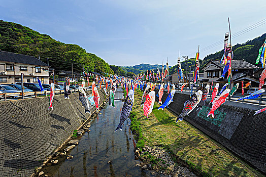 河,飞,鲤鱼,节日,石川,日本