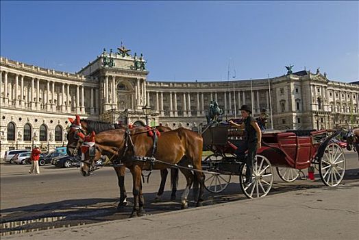 马车,正面,皇宫,霍夫堡,维也纳,奥地利