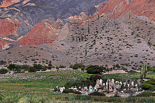 墓地,高,安第斯山脉,靠近,阿根廷,玻利维亚,南美