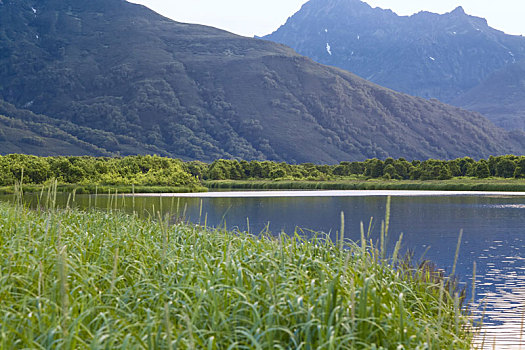 自然,堪察加半岛,风景,华美