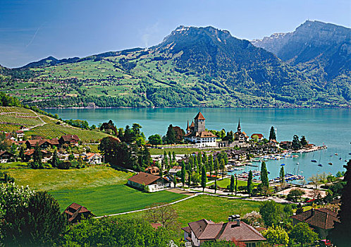 施皮茨,看,湖,伯尔尼,瑞士,欧洲