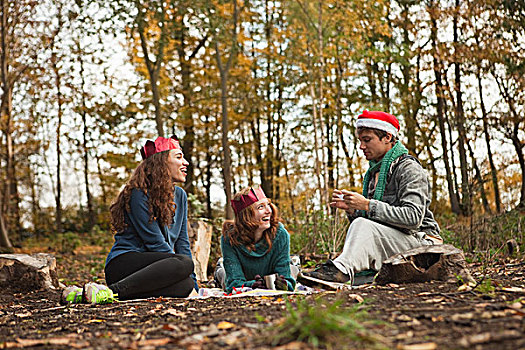 年轻,朋友,树林,戴着,圣诞帽,冠