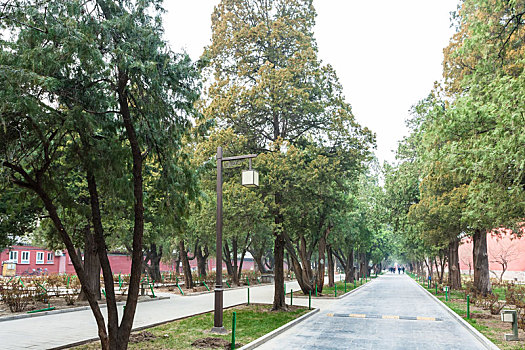 小路,公园,北京,皇家,城市